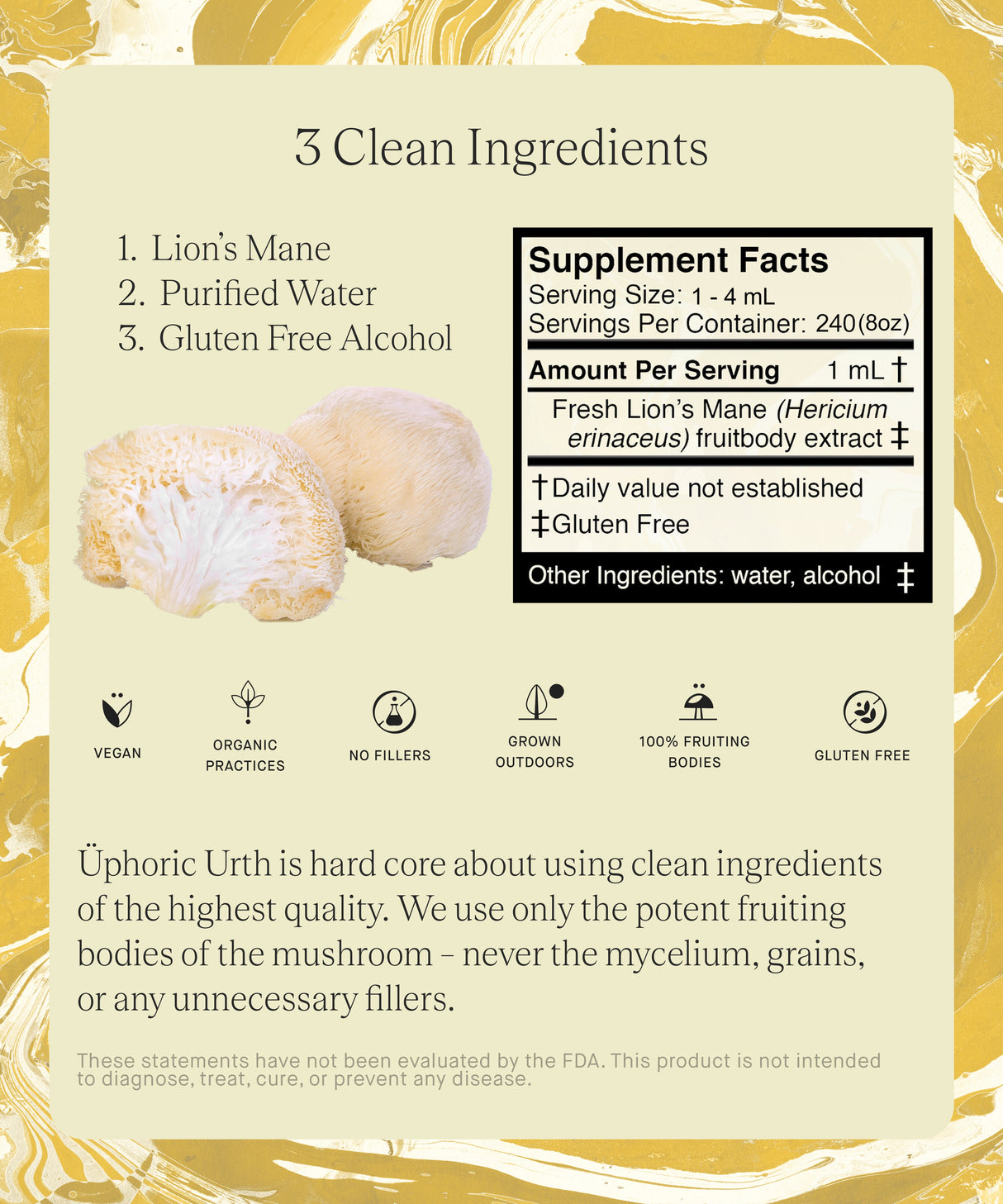 No. 01 — Lions Mane Tincture | Focus, Cognition, Creativity, Brain Health - Sumiye Co