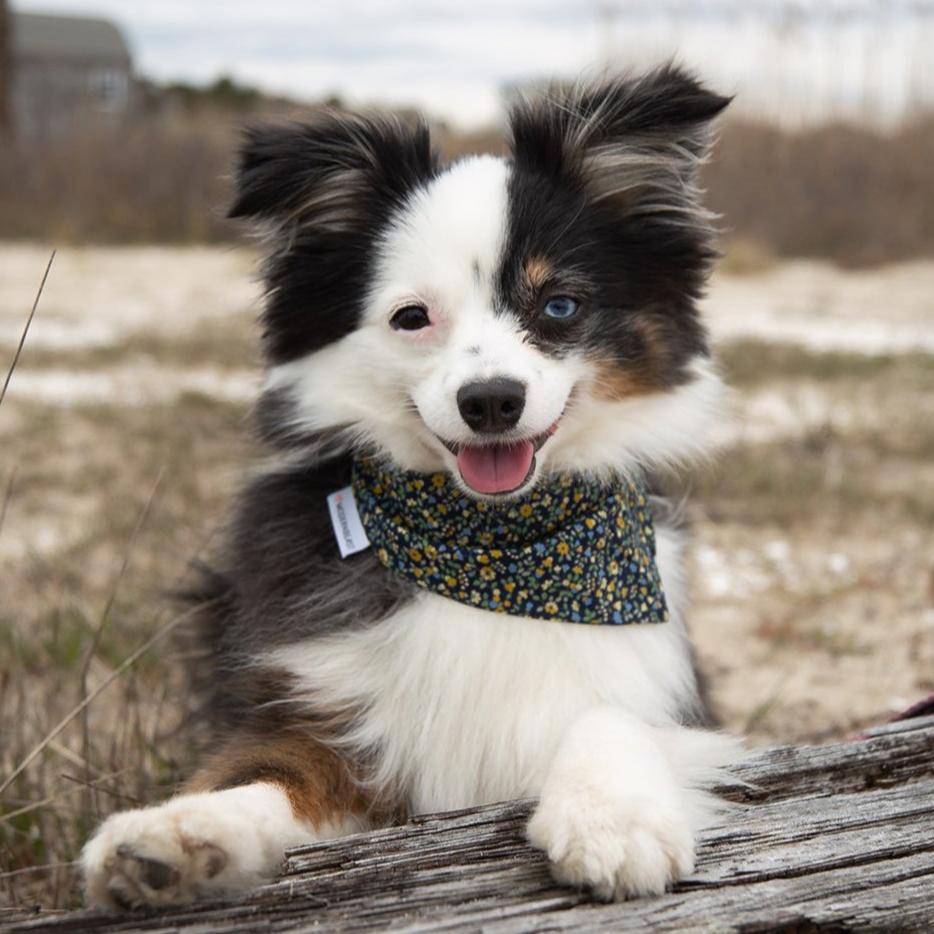 Pet Floral Bandana - Sumiye Co