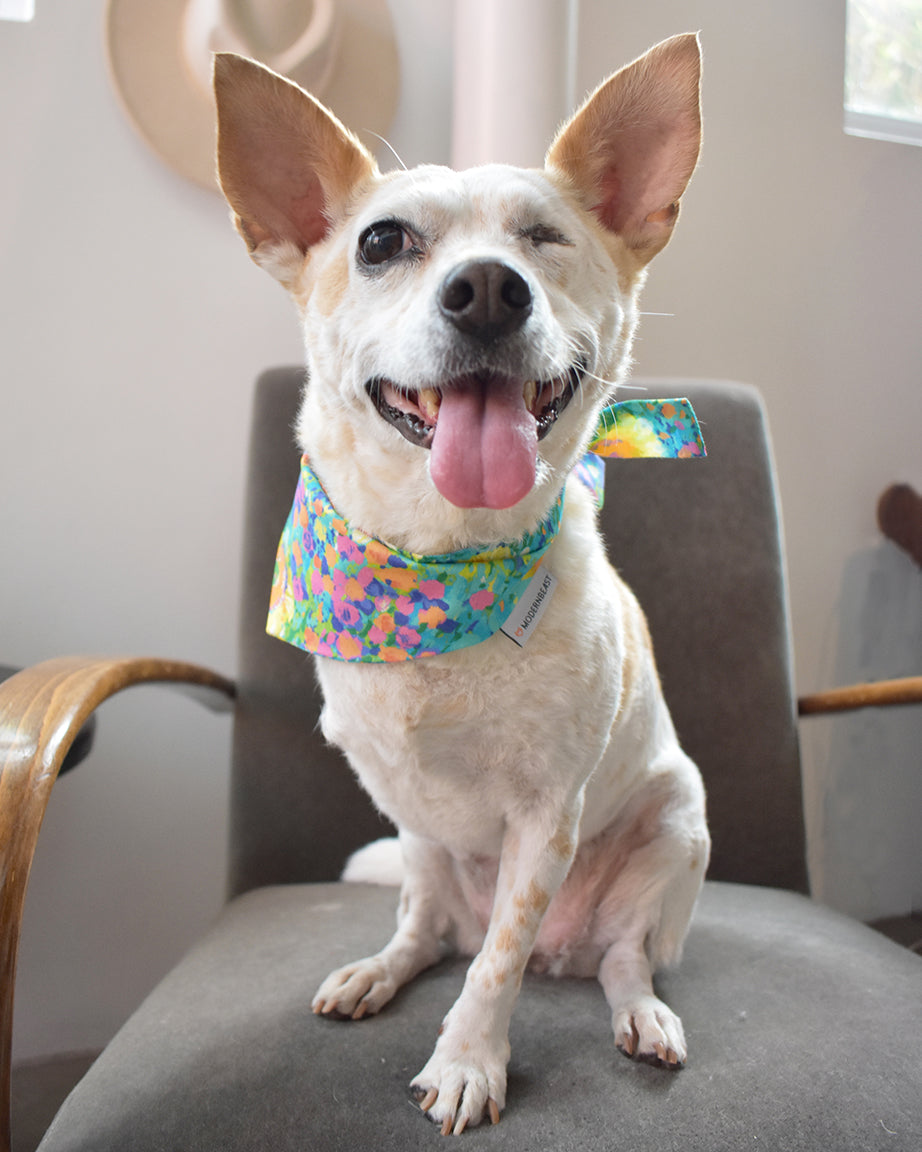 Pet Floral Bandana - Sumiye Co