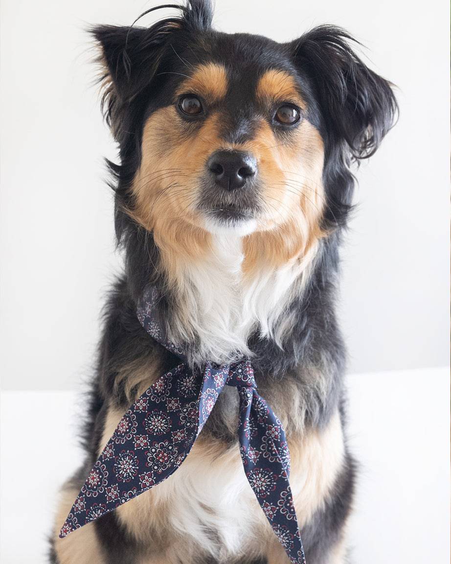 Pet Classic Necktie - Sumiye Co