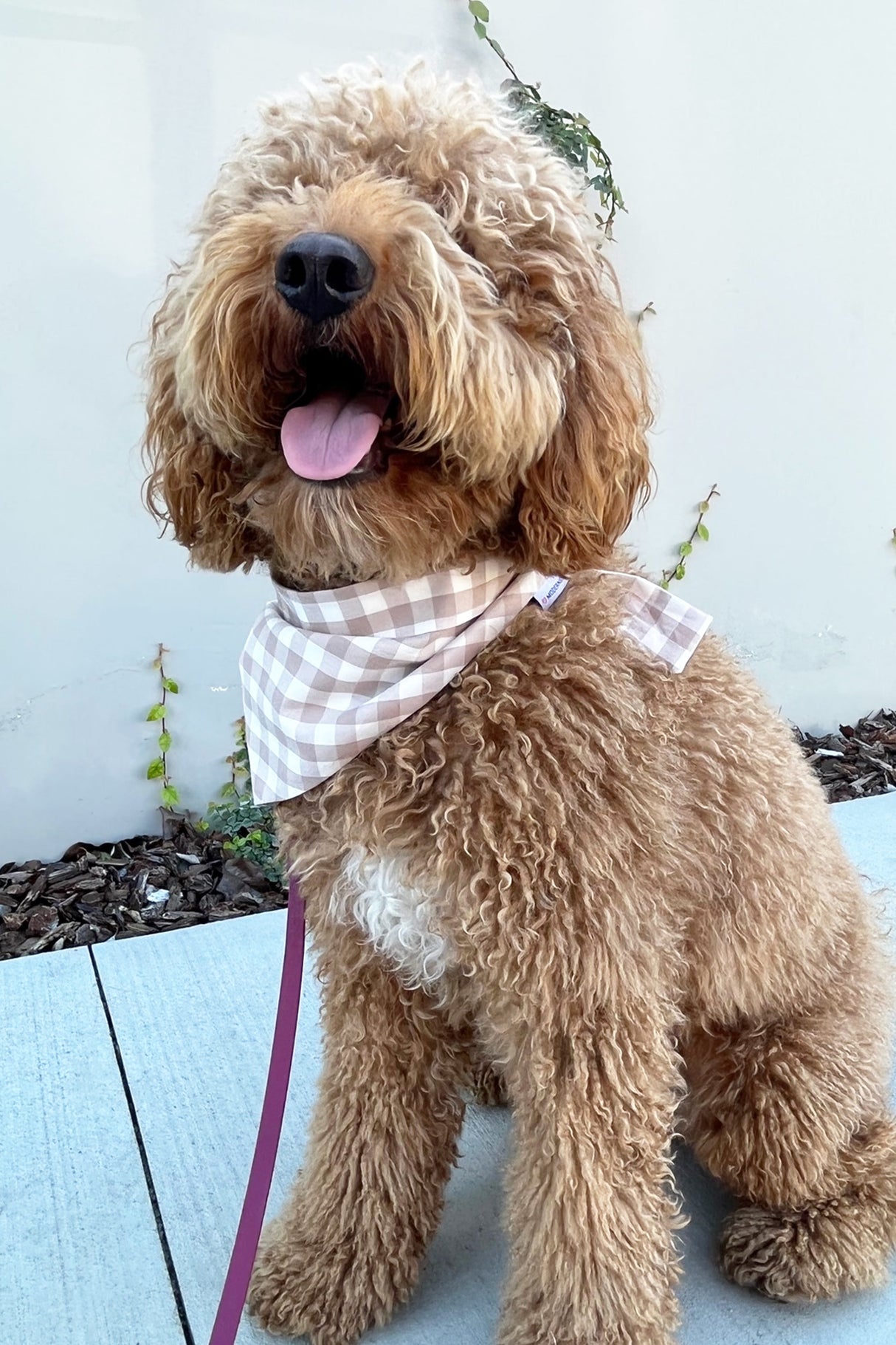 Pet Gingham Bandana - Sumiye Co