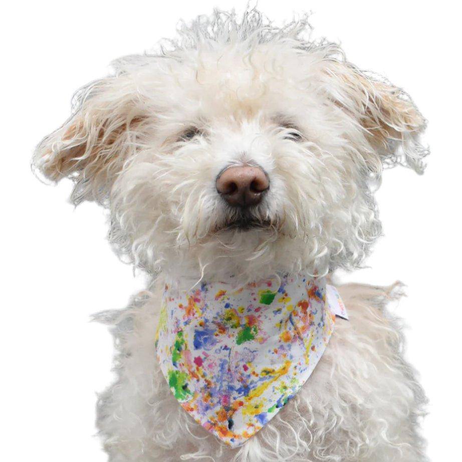 Pet Pride Bandana - Sumiye Co