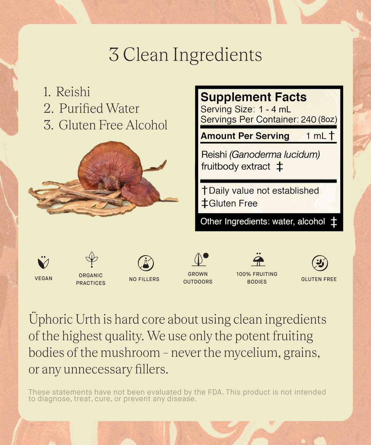 No. 06 — Reishi Tincture | Hormone Balance, Heart Health, Sleep Support, Stress Relief - Sumiye Co