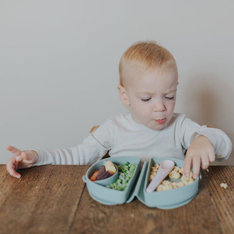 Silifold: Compact Children's Portable Plate - Chickory - Sumiye Co