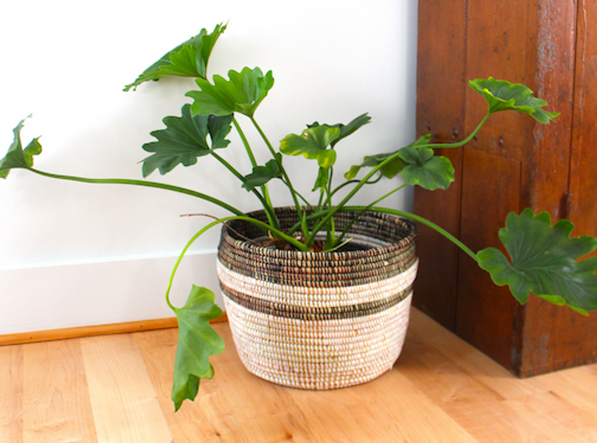 Black and White Stripe Basket - Large 15" x 12" - Sumiye Co
