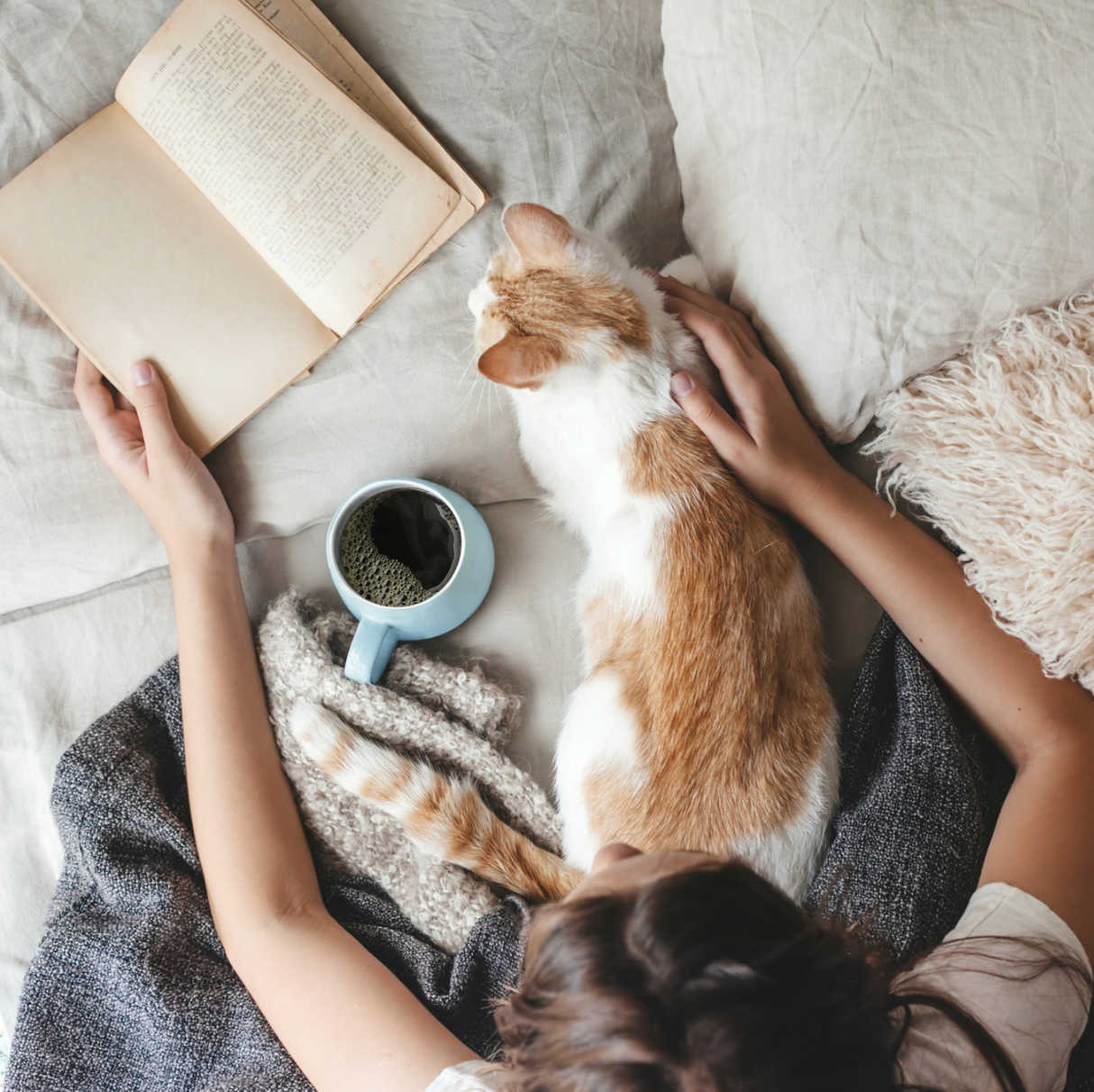 Ui 3 Self-heating Mug - Mug Only