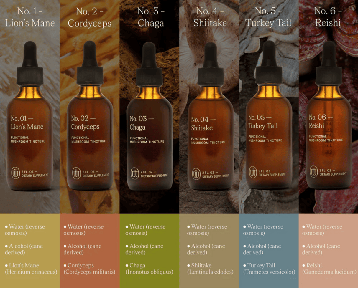 Bottle lineup of functional mushroom tinctures with text detailing the ingredients.