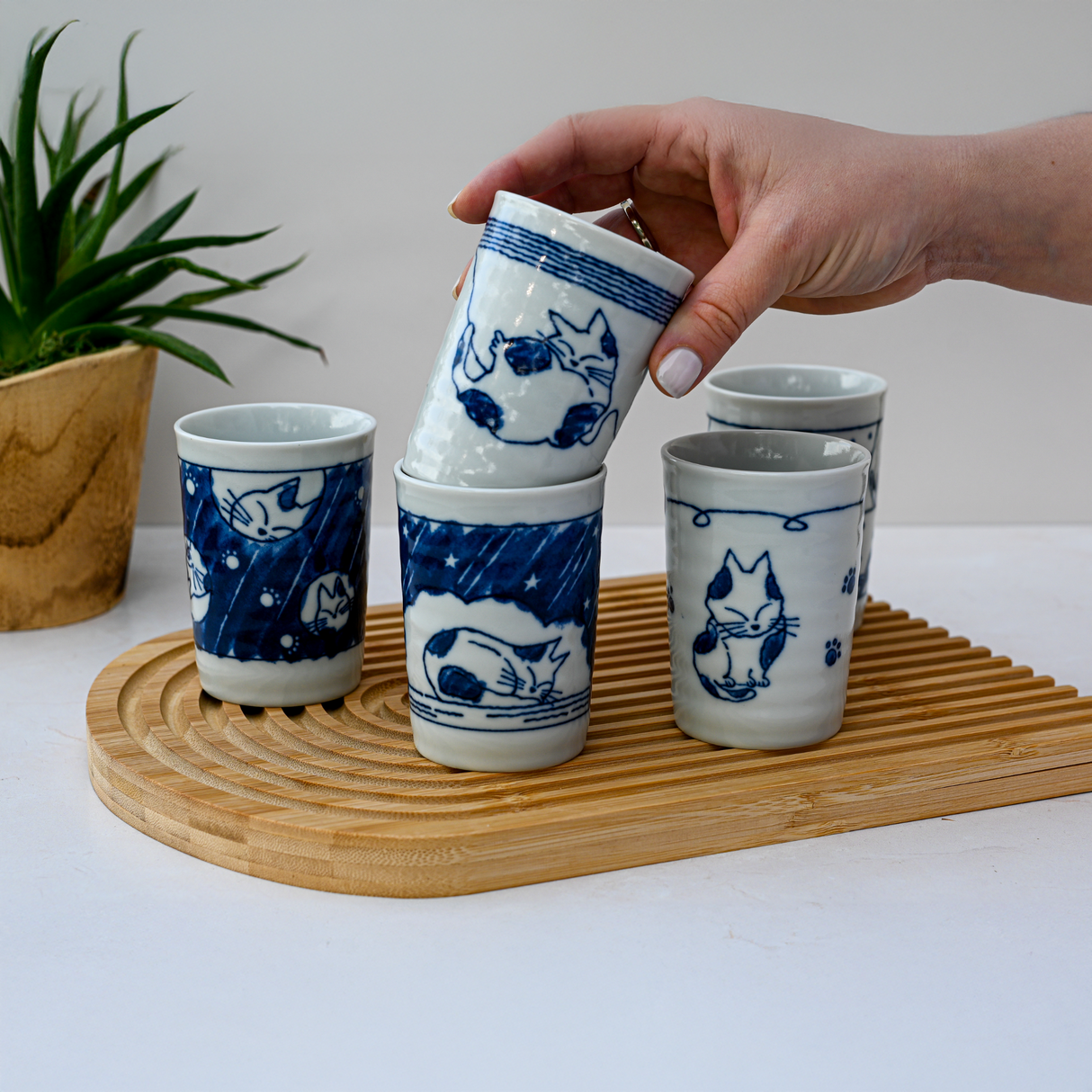 Set of 5 Adorable Cat Tea Cups, Blue & White Mino-Ware, 180ml (6oz.) - Sumiye Co