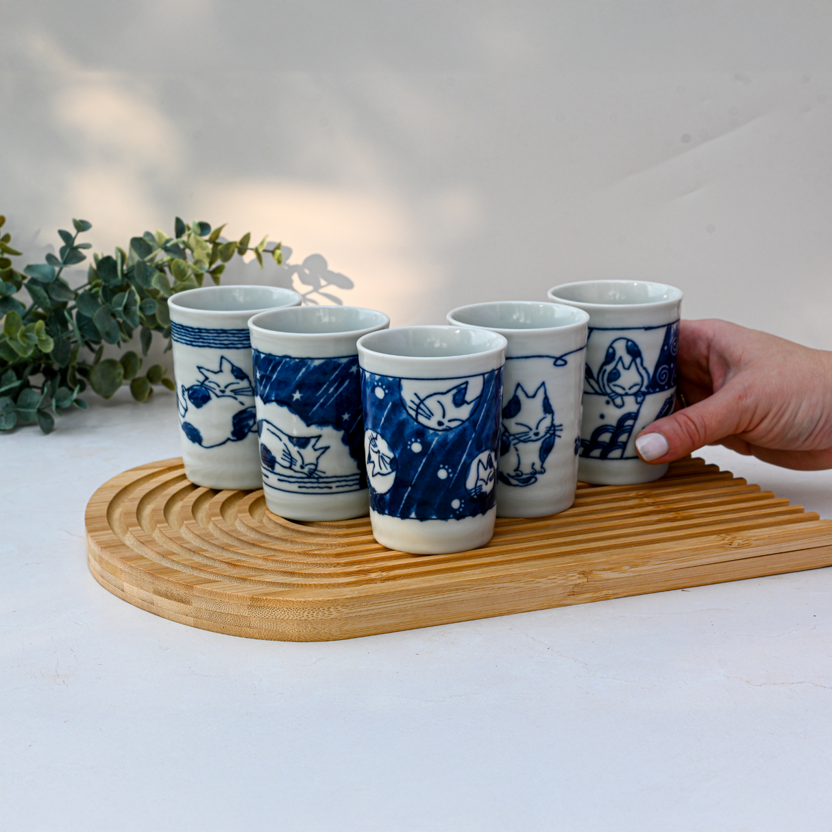 Set of 5 Adorable Cat Tea Cups, Blue & White Mino-Ware, 180ml (6oz.) - Sumiye Co