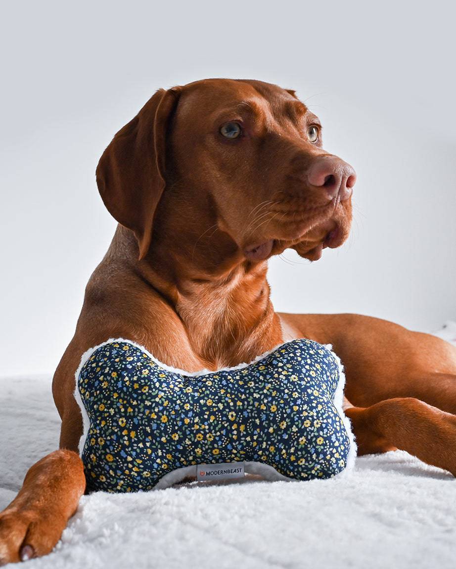 Pet Toy Lavender Zenbone - Sumiye Co