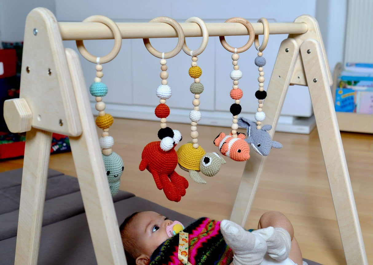 Montessori Baby Gym & Hanging Toys Set | Wooden Play Gym for Babies-0
