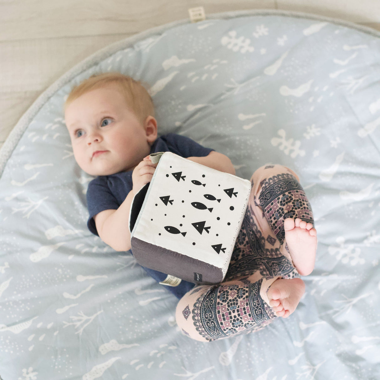 Sensory Bundle for Baby - Ocean  Wee Gallery