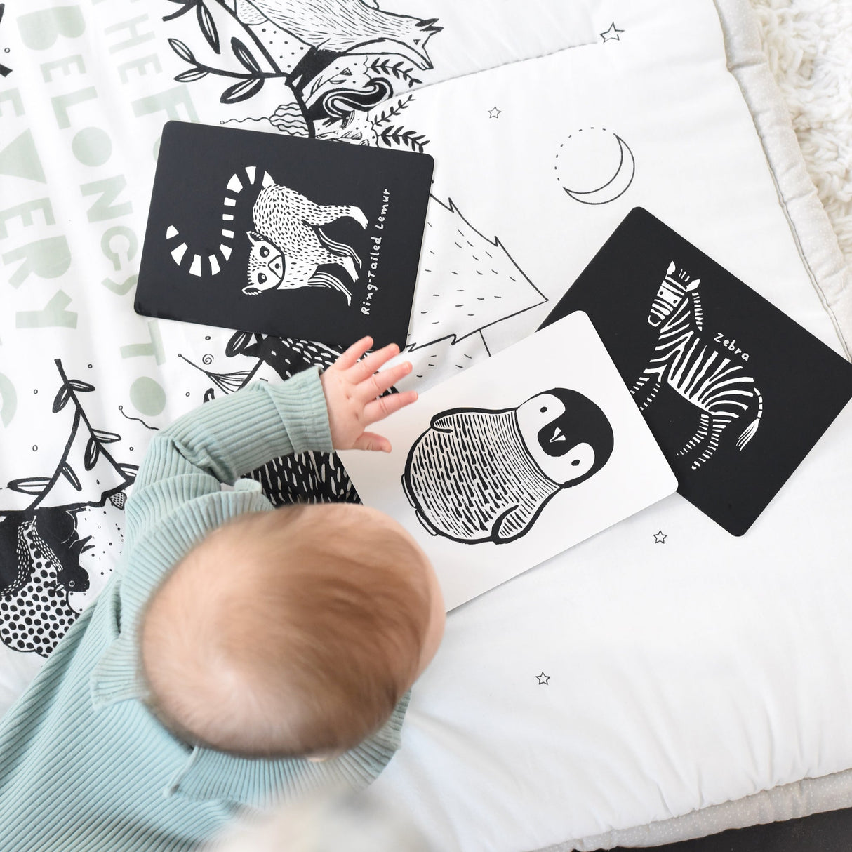 Art Cards for Baby - Black and White Collection - Sumiye Co
