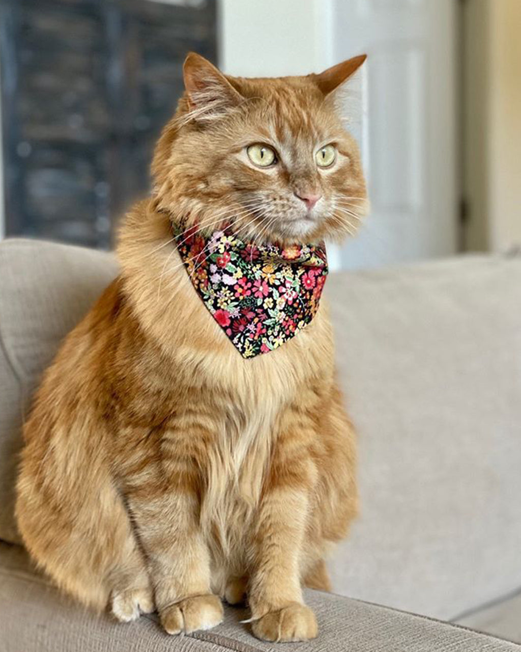 Pet Floral Bandana - Sumiye Co