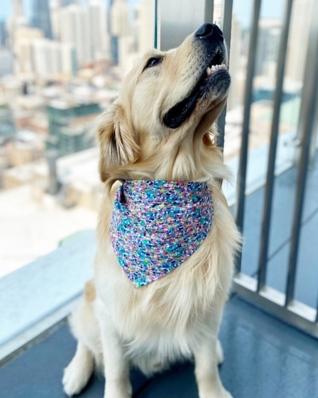 Pet Party Bandana - Sumiye Co