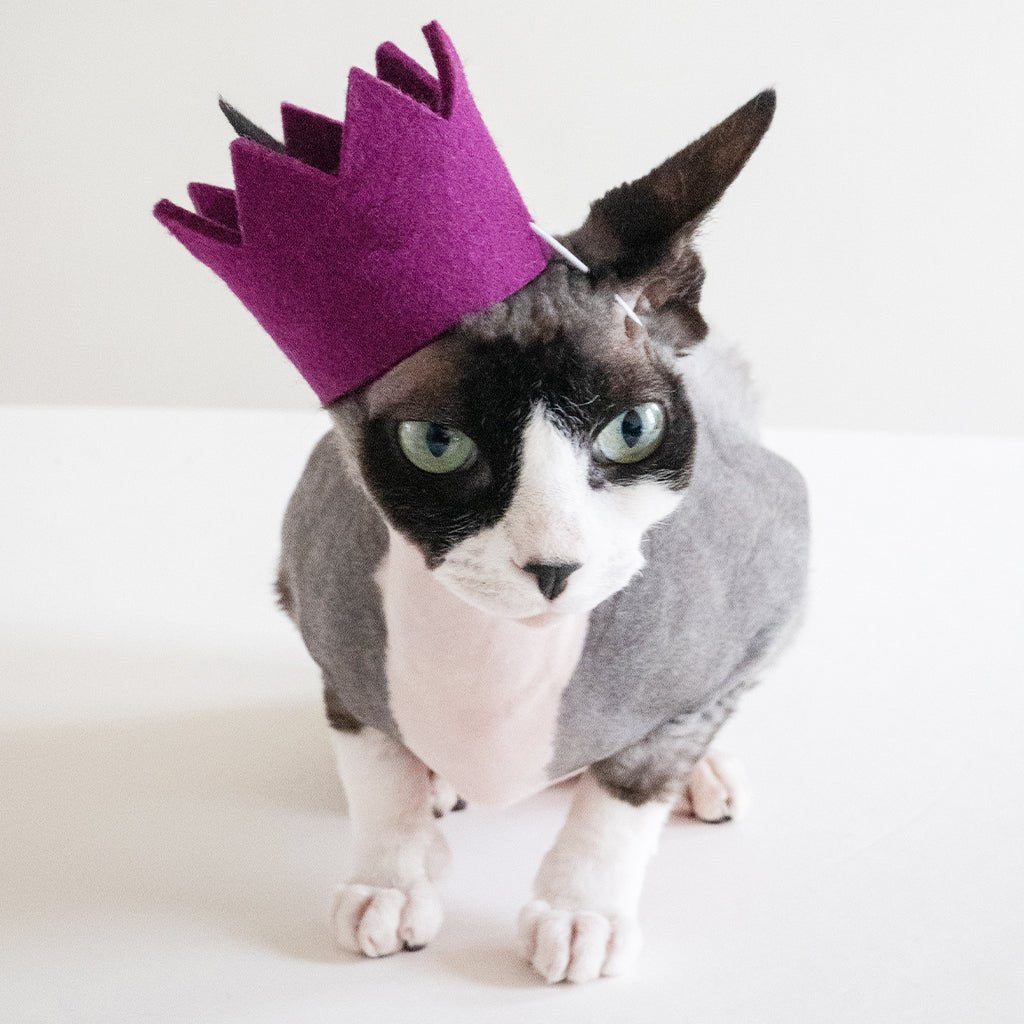 Pet Bright Party Crowns - Sumiye Co