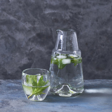 A clear glass carafe filled with liquid and ice, accompanied by a matching glass with a drink, both placed on a grey surface.