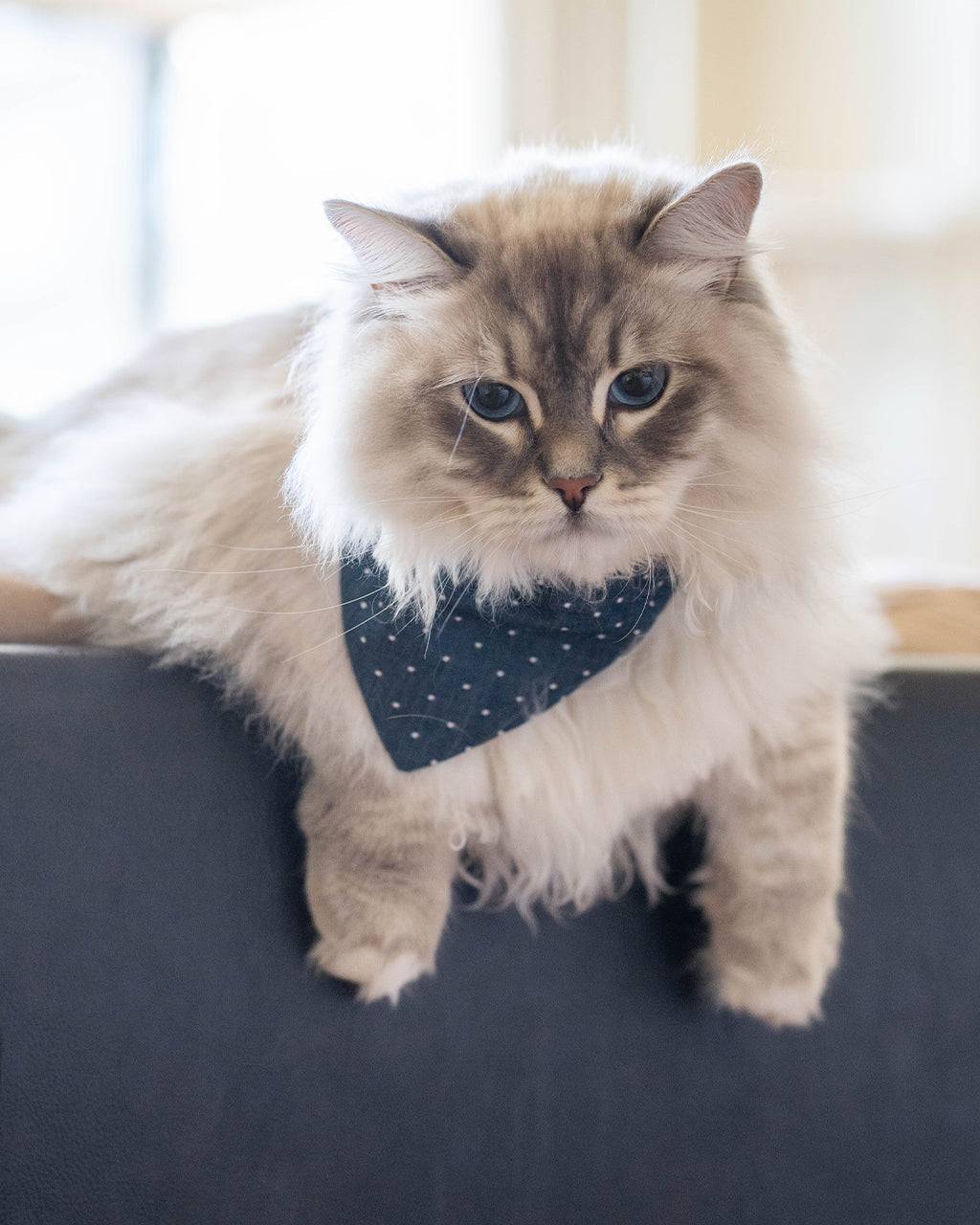 Pet Classic Bandana - Sumiye Co