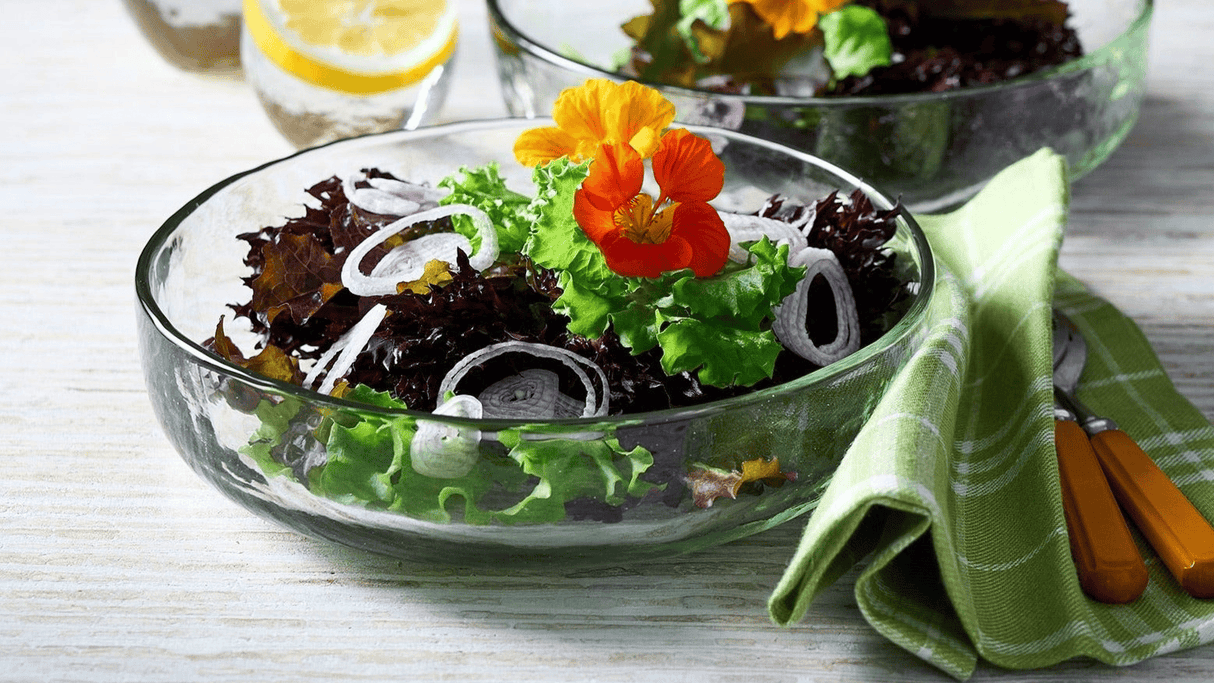 Pebbled Individual Bowl - Set of 2 - Sumiye Co