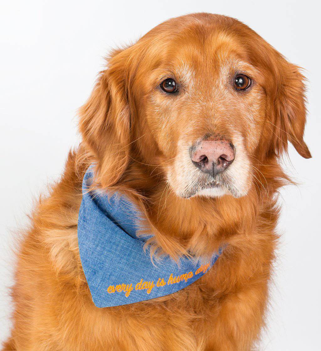 Pet Embroidered Bandana - Sumiye Co