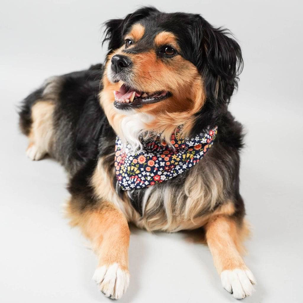 Pet Floral Bandana - Sumiye Co