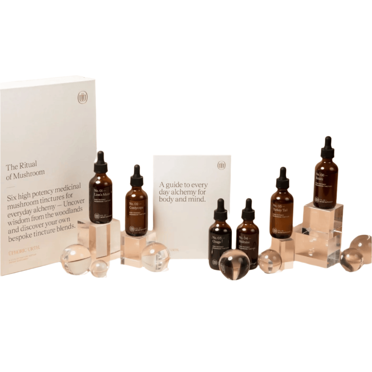 The Ritual Of Mushroom Tincture | Wellness Gift Set - Sumiye Co