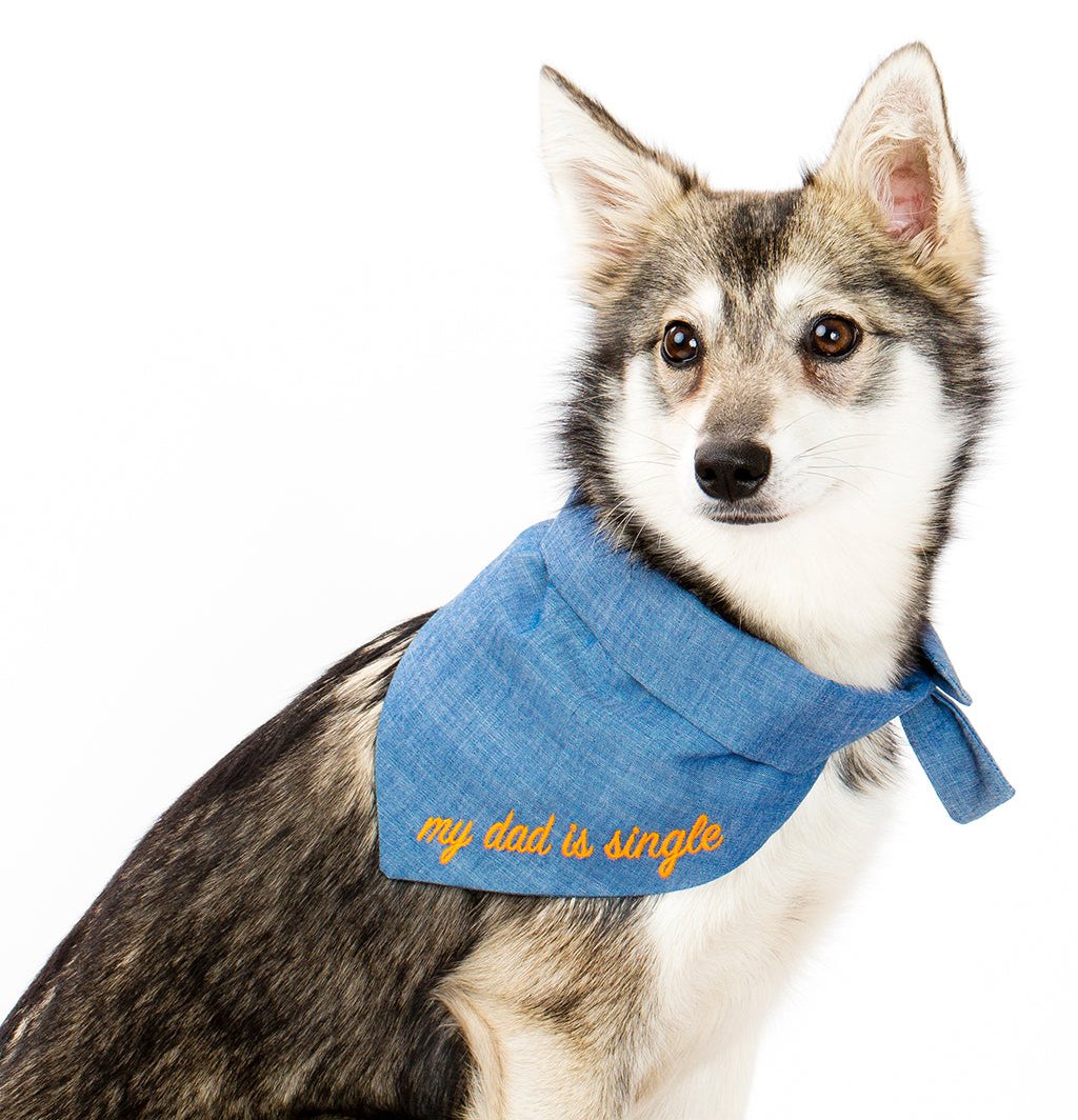 Pet Embroidered Bandana - Sumiye Co