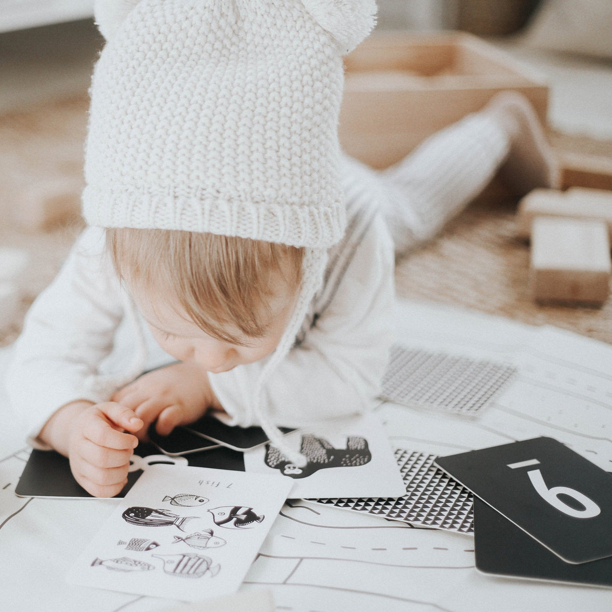 Counting Adventure Bundle Wee Gallery