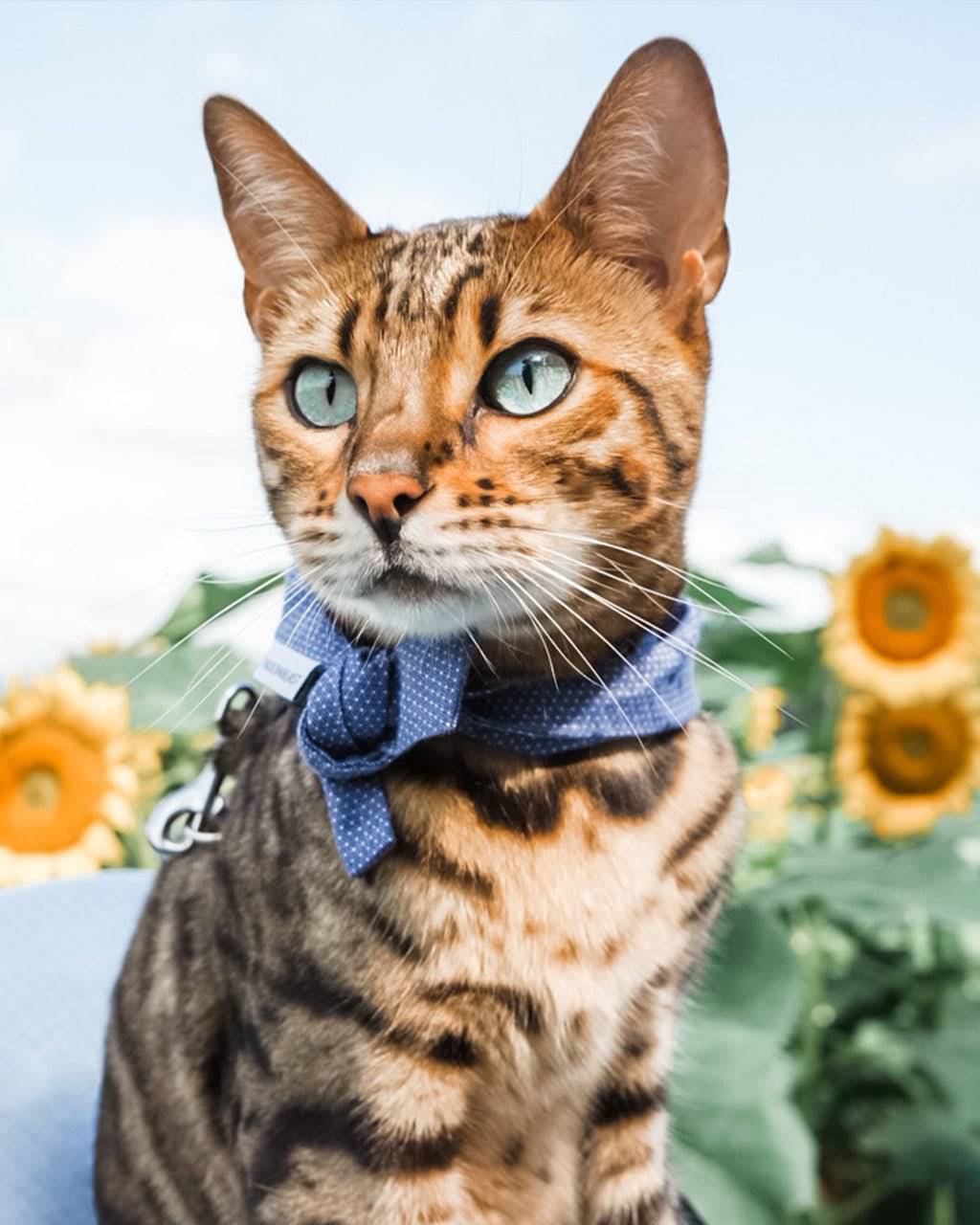 Pet Classic Bandana - Sumiye Co