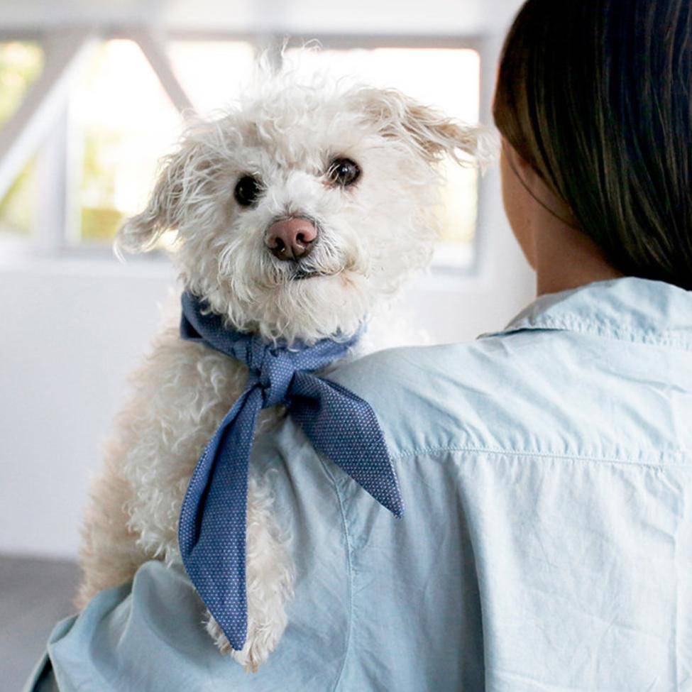 Pet Classic Necktie - Sumiye Co