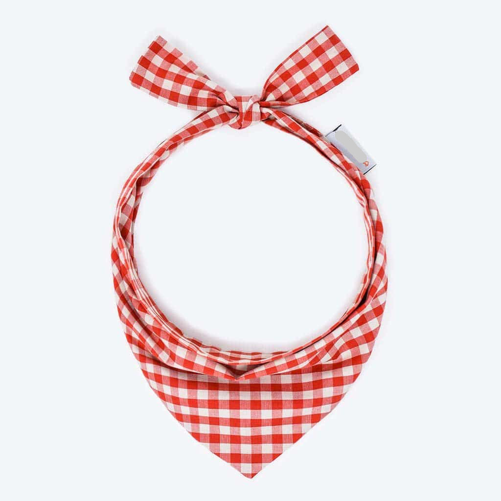 Pet Gingham Bandana - Sumiye Co