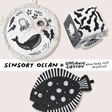 Sensory Bundle for Baby - Ocean Wee Gallery