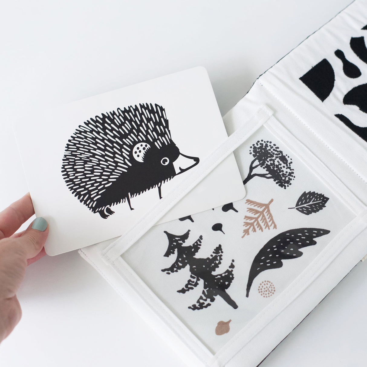 Baby Tummy Time Gallery - Wildlife - Sumiye Co