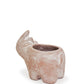 Terracotta Pot - Rhino-3
