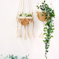 Plant Hanger - Bitan KORISSA