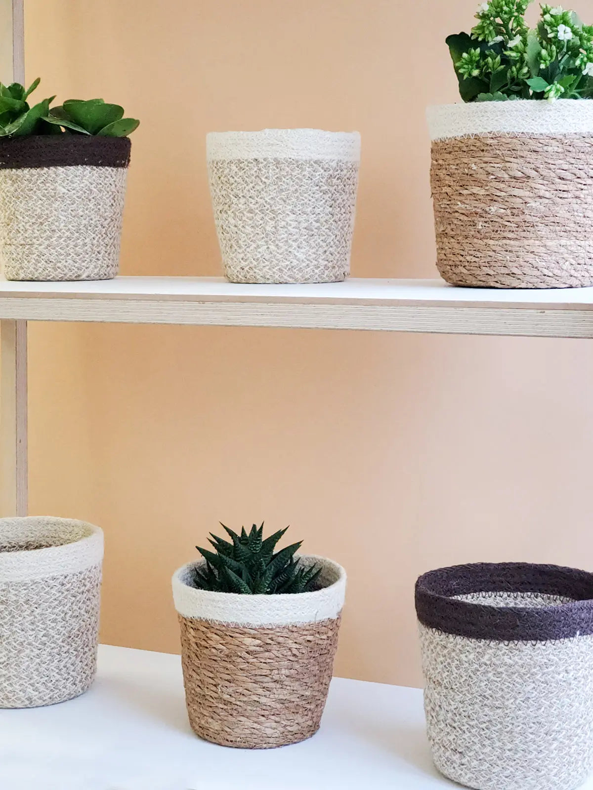 Savar Plant Basket KORISSA