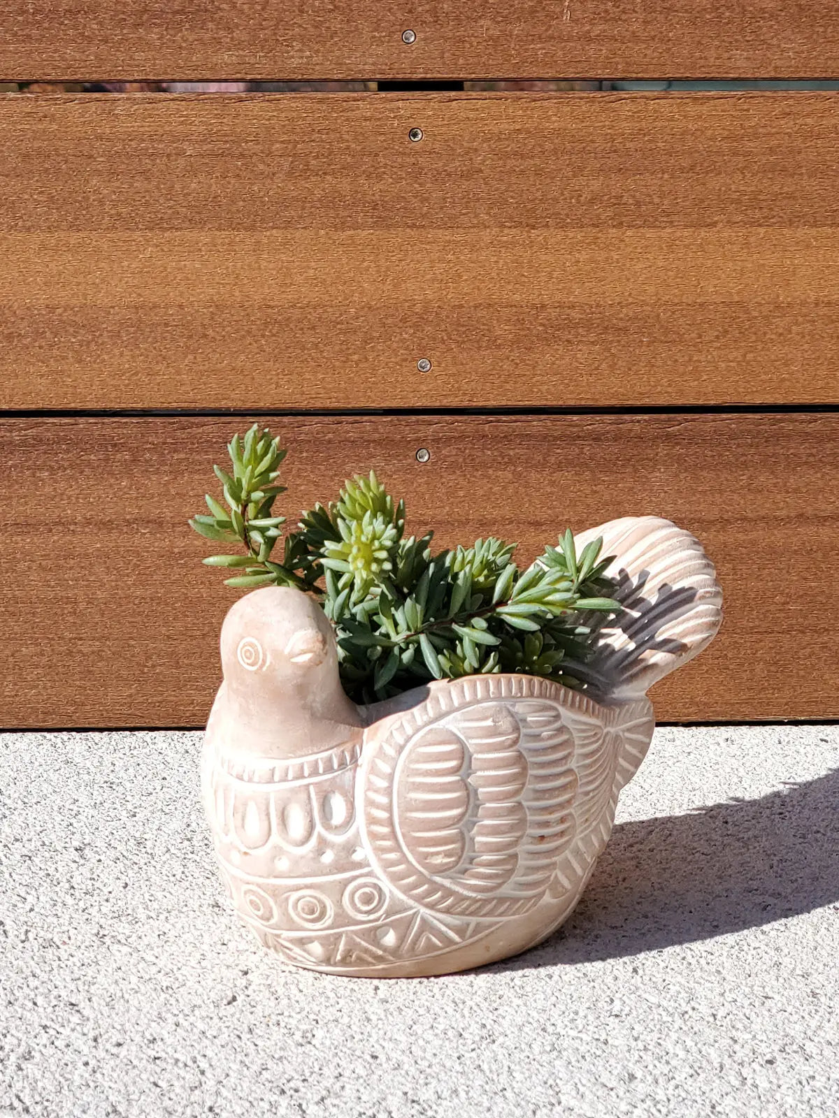 Terracotta Pot - Turtle Dove KORISSA