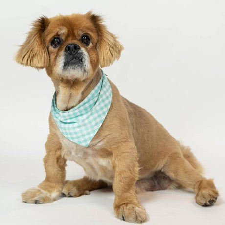 Pet Gingham Bandana - Sumiye Co