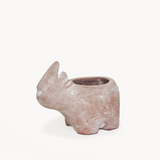 Terracotta Pot - Rhino