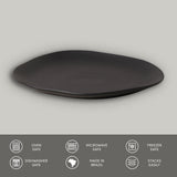 Oval Dinner Plate Set of 6