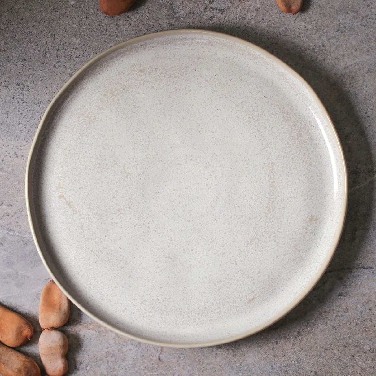 Dinner Plate Set of 6