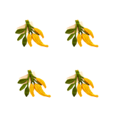 Yellow Chili Pepper Woven Napkin Rings (Set of 4)