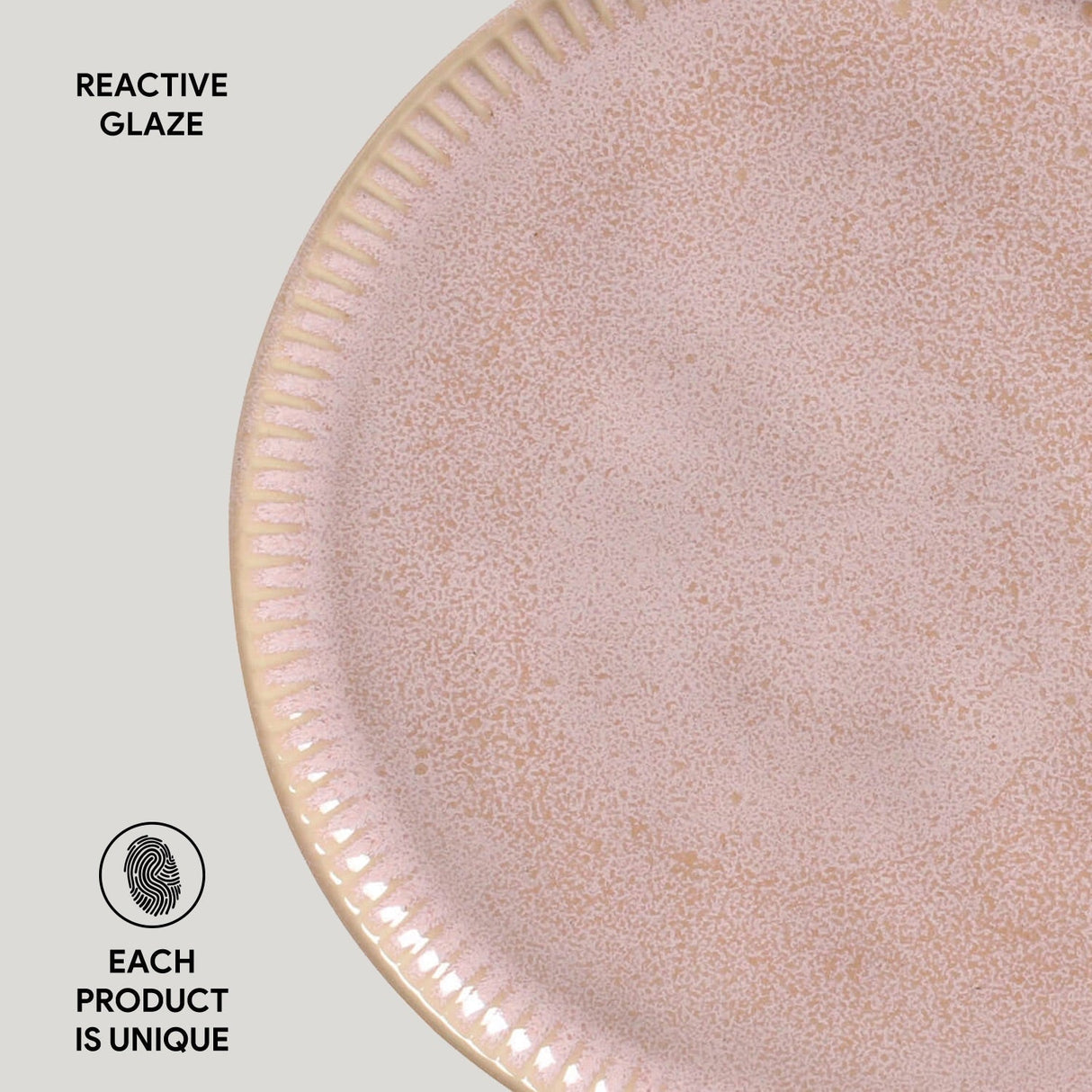 Dinner Plate Set of 6