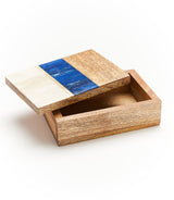 Kaveri Treasure Box - Carved Bone, Wood, Brass Inlay by Matr Boomie - Sumiye Co