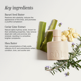 Body Essentials Bundle