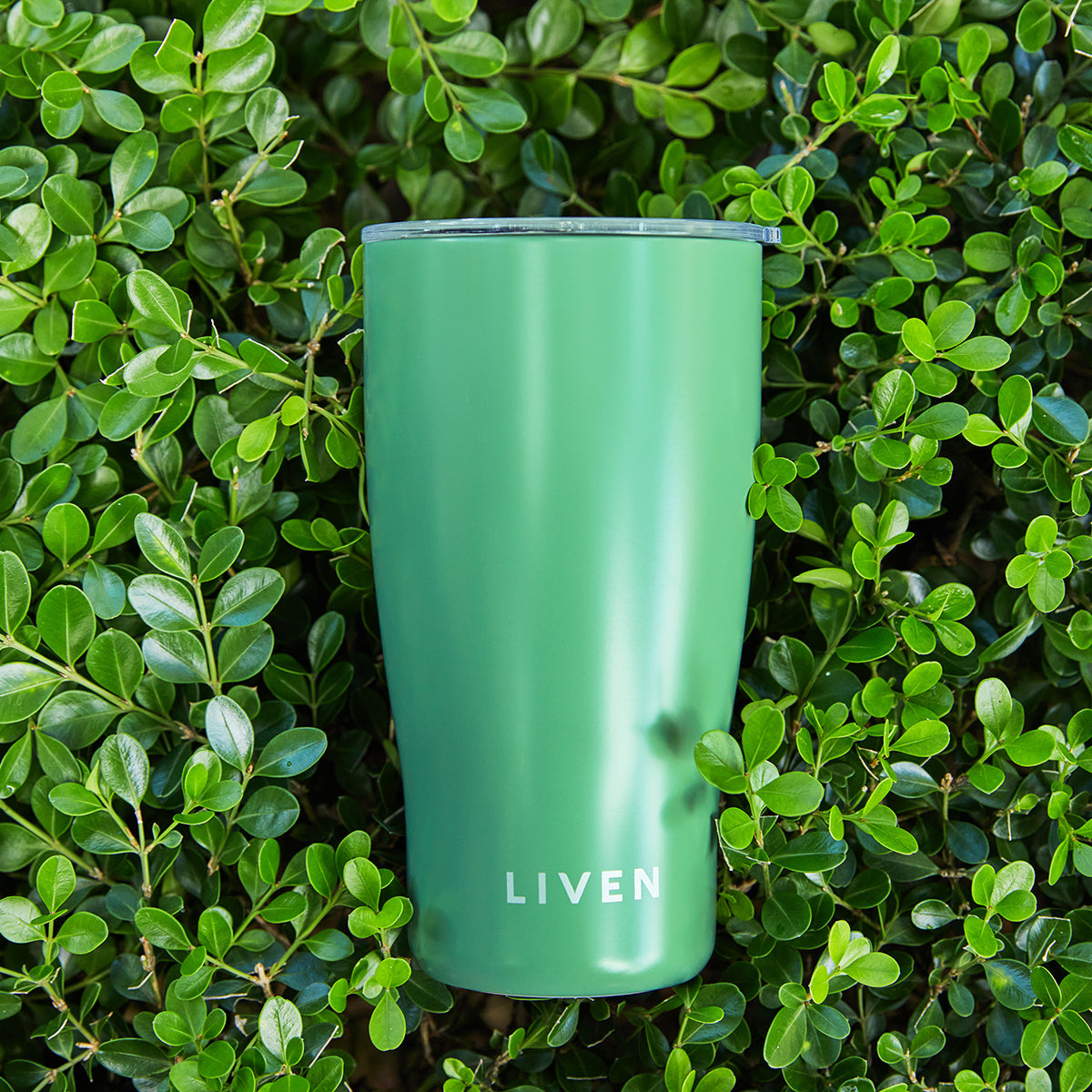 Purifying Travel Tumbler (19oz) | Liven Glow™ Stainless Steel -2