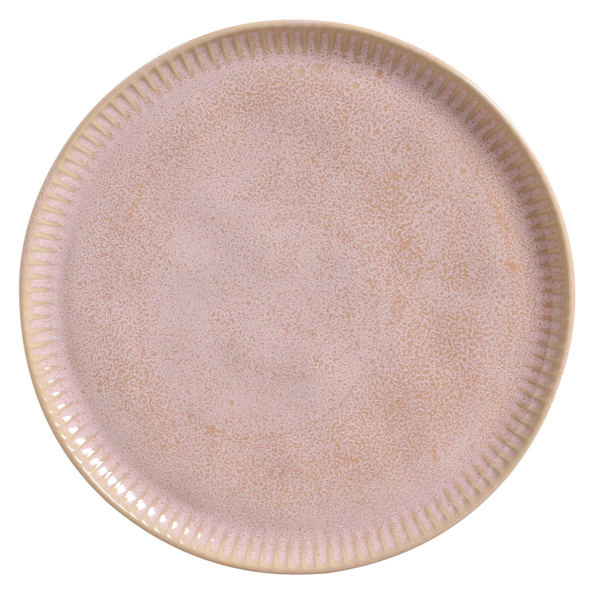 Dinner Plate Set of 6
