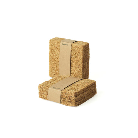 Plant Based Filter Set 6 Pack by Bamboozle Home - Sumiye Co