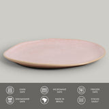 Oval Dinner Plate Set of 6