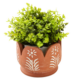 Terra cotta planter with decorative patterns containing a green plant on a white background